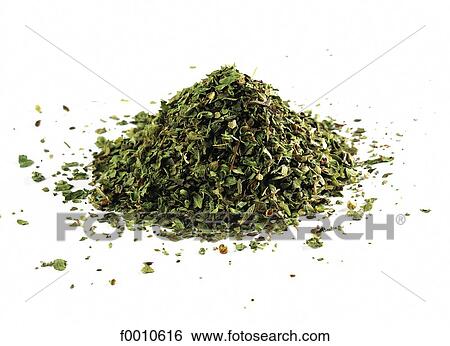 Marjoram View Large Photo Image Stock Photograph - Marjoram. Fotosearch