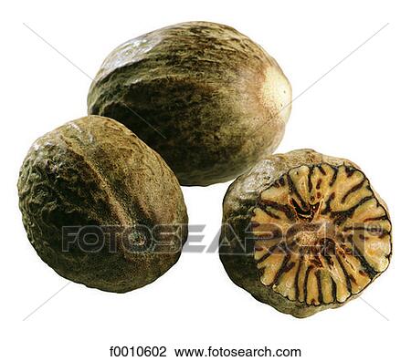 Nutmeg View Large Photo Image Stock Image - Nutmeg. Fotosearch