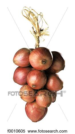 Onions View Large Photo Image Stock Photography - Onions. Fotosearch