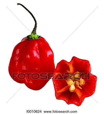 Picture - Red pepper. Fotosearch