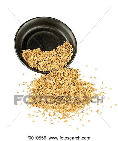 Sesame View Large Photo Image Stock Photograph - Sesame. Fotosearch