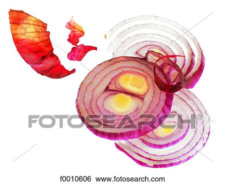Sliced onion View Large Photo Image Stock Photograph - Sliced onion. Fotosearch
