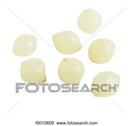 Spring onions View Large Photo Image Stock Photo - Spring onions. Fotosearch