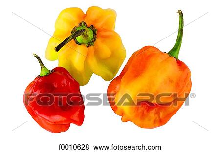 Yellow and red pepper View Large Photo Image Stock Photo - Yellow and red pepper. Fotosearch