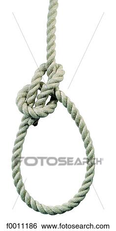 Stock Photograph - Bowline knot. Fotosearch