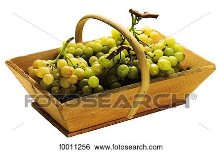 Basket of white grape View Large Photo Image Stock Photograph - Basket of white grape. Fotosearch