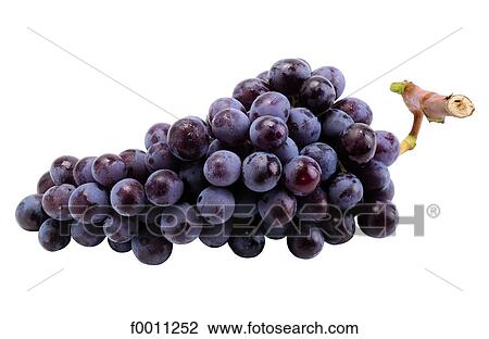 Stock Image - Black grape. Fotosearch