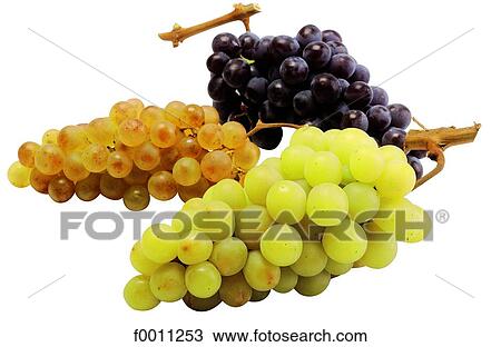 Stock Image - Bunches of grapes. Fotosearch