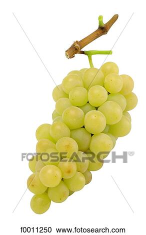 Stock Image - White grape. Fotosearch