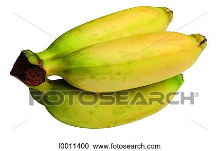 Bananas View Large Photo Image Stock Image - Bananas. Fotosearch