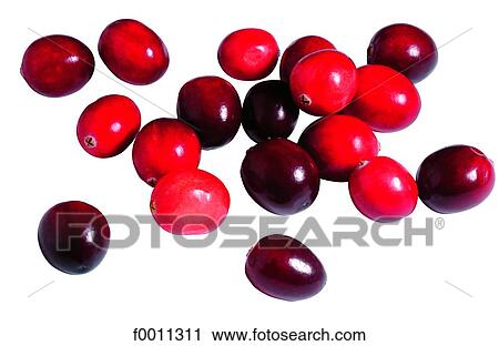 Bilberries View Large Photo Image Stock Image - Bilberries. Fotosearch