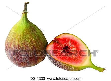 Fig View Large Photo Image Stock Image - Fig. Fotosearch