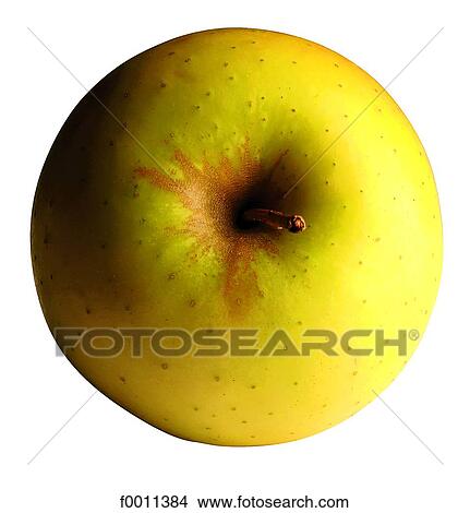 Golden apple View Large Photo Image Picture - Golden apple. Fotosearch