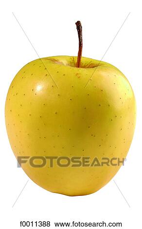 Golden apple View Large Photo Image Stock Photo - Golden apple. Fotosearch