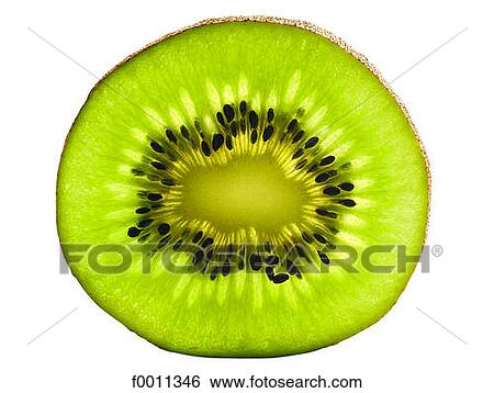 Kiwi View Large Photo Image Stock Photograph - Kiwi. Fotosearch