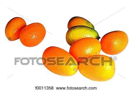Kumquats View Large Photo Image Stock Photo - Kumquats. Fotosearch