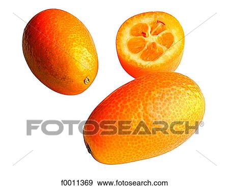 Stock Photo - Kumquats. Fotosearch