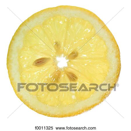 Lemon slice View Large Photo Image Stock Photography - Lemon slice. Fotosearch