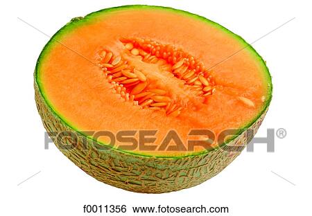 Melon View Large Photo Image Stock Photograph - Melon. Fotosearch