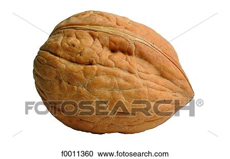 Stock Image - Nuts. Fotosearch