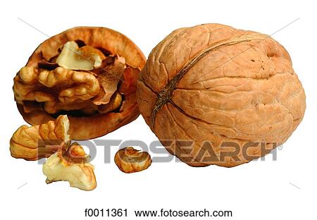 Nuts View Large Photo Image Stock Image - Nuts. Fotosearch