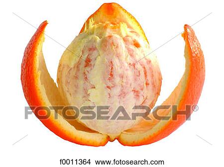 Picture - Orange. Fotosearch