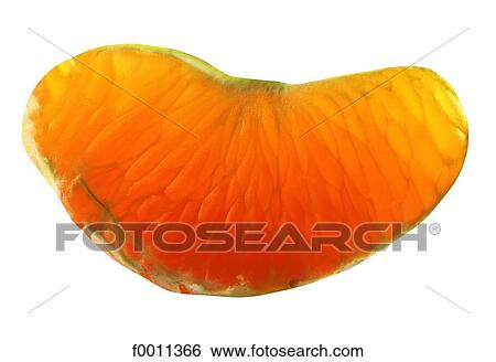 Stock Photograph - Orange slice. Fotosearch