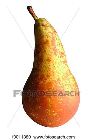 Pear View Large Photo Image Stock Image - Pear. Fotosearch