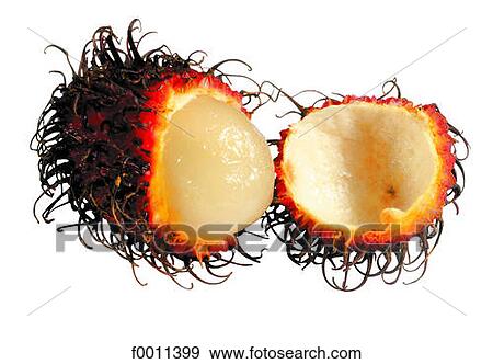 Stock Photo - Rambutan. Fotosearch