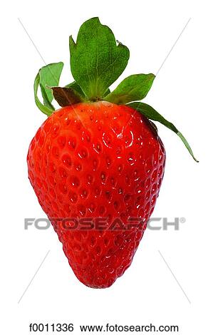 Stock Photograph - Strawberry. Fotosearch