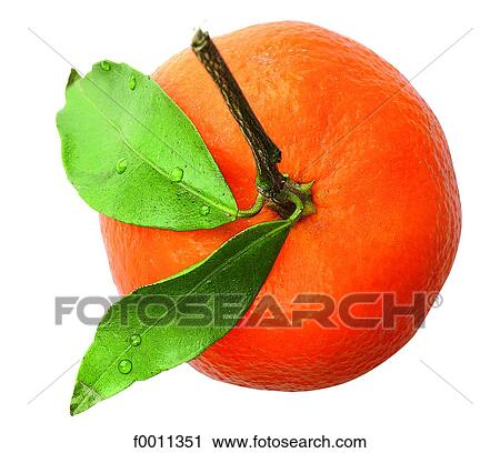 Stock Image - Tangerine. Fotosearch