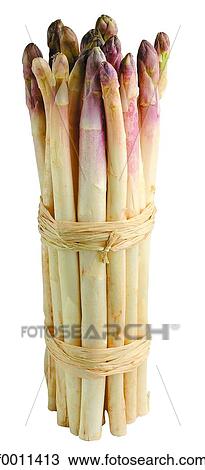 Asparagus View Large Photo Image Stock Image - Asparagus. Fotosearch