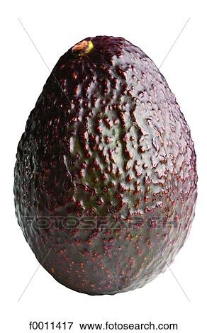 Stock Photo - Avocado. Fotosearch