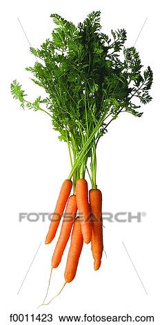 Bunch of carrots View Large Photo Image Stock Image - Bunch of carrots. Fotosearch