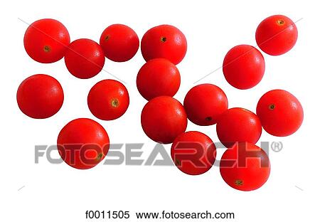 Stock Photography - Cherry tomatoes. Fotosearch