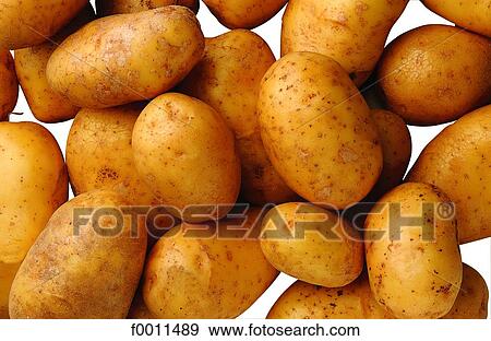 Stock Photo - Ditta potatoes. Fotosearch