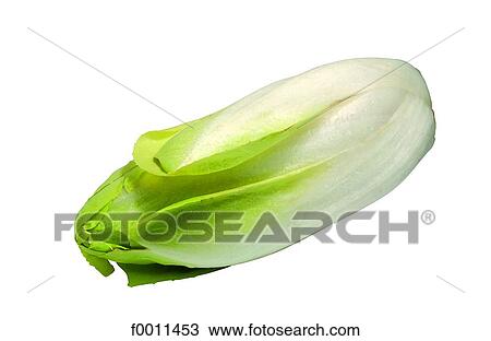 Endive View Large Photo Image Stock Image - Endive. Fotosearch