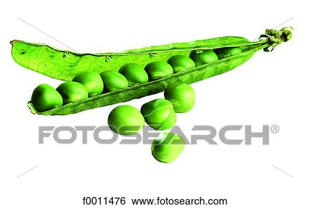 Green peas View Large Photo Image Stock Photograph - Green peas. Fotosearch