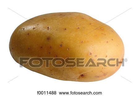 Potato View Large Photo Image Stock Photo - Potato. Fotosearch