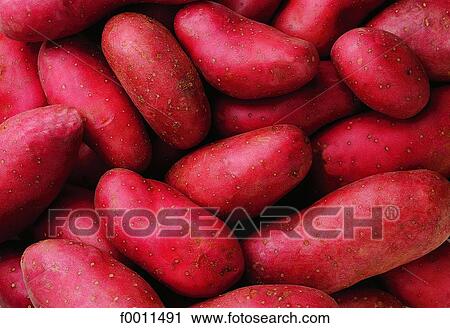 Potimarron squash View Large Photo Image Stock Image - Potimarron squash. Fotosearch