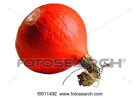 Potimarron squash View Large Photo Image Stock Image - Potimarron squash. Fotosearch