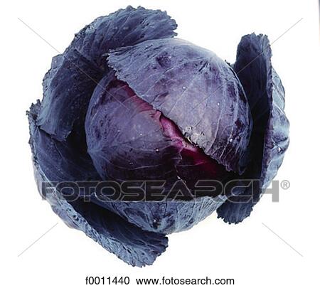 Red cabbage View Large Photo Image Stock Image - Red cabbage. Fotosearch