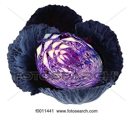 Stock Image - Red cabbage. Fotosearch