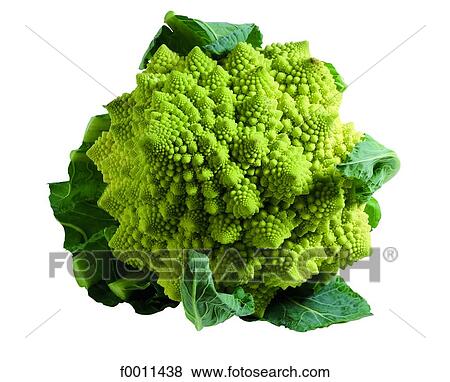 Romanesco broccoli View Large Photo Image Stock Photo - Romanesco broccoli. Fotosearch
