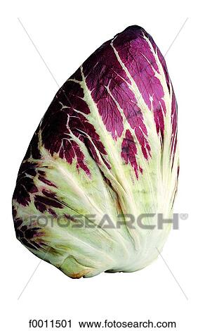 Stock Image - Salad leaf. Fotosearch