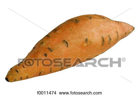 Sweet potato View Large Photo Image Picture - Sweet potato. Fotosearch