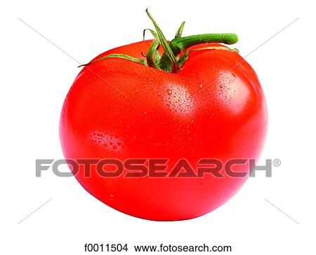 Tomato View Large Photo Image Picture - Tomato. Fotosearch