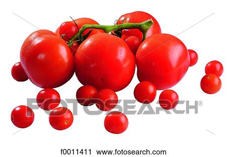 Tomatoes and cherry tomatoes View Large Photo Image Stock Image - Tomatoes and cherry tomatoes. Fotosearch