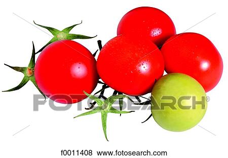 Tomatoes View Large Photo Image Stock Photo - Tomatoes. Fotosearch