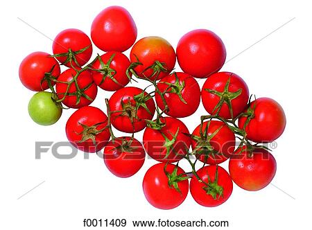 Tomatoes View Large Photo Image Stock Photo - Tomatoes. Fotosearch